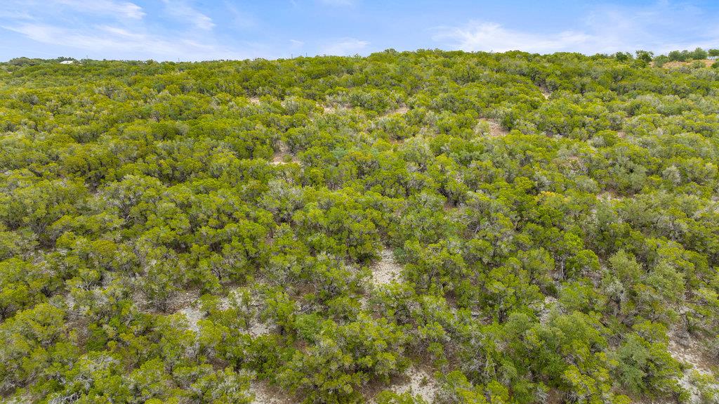 1216 Overland Stage Road Dripping Springs TX 78620