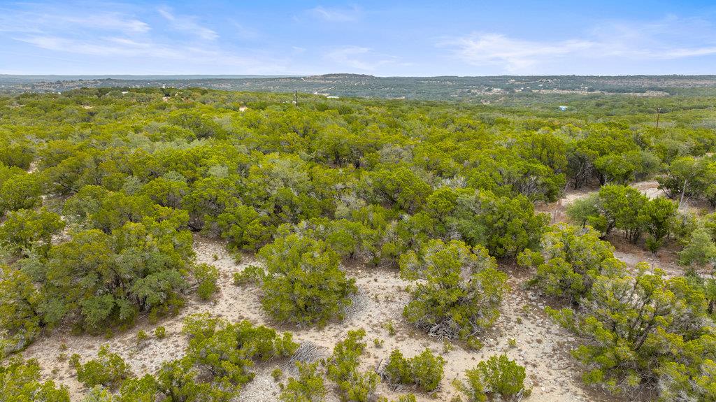1216 Overland Stage Road Dripping Springs TX 78620
