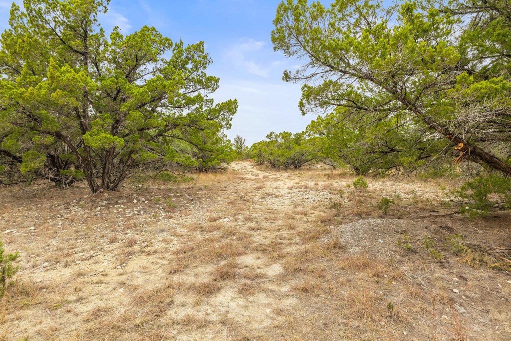 1216 Overland Stage Road Dripping Springs TX 78620
