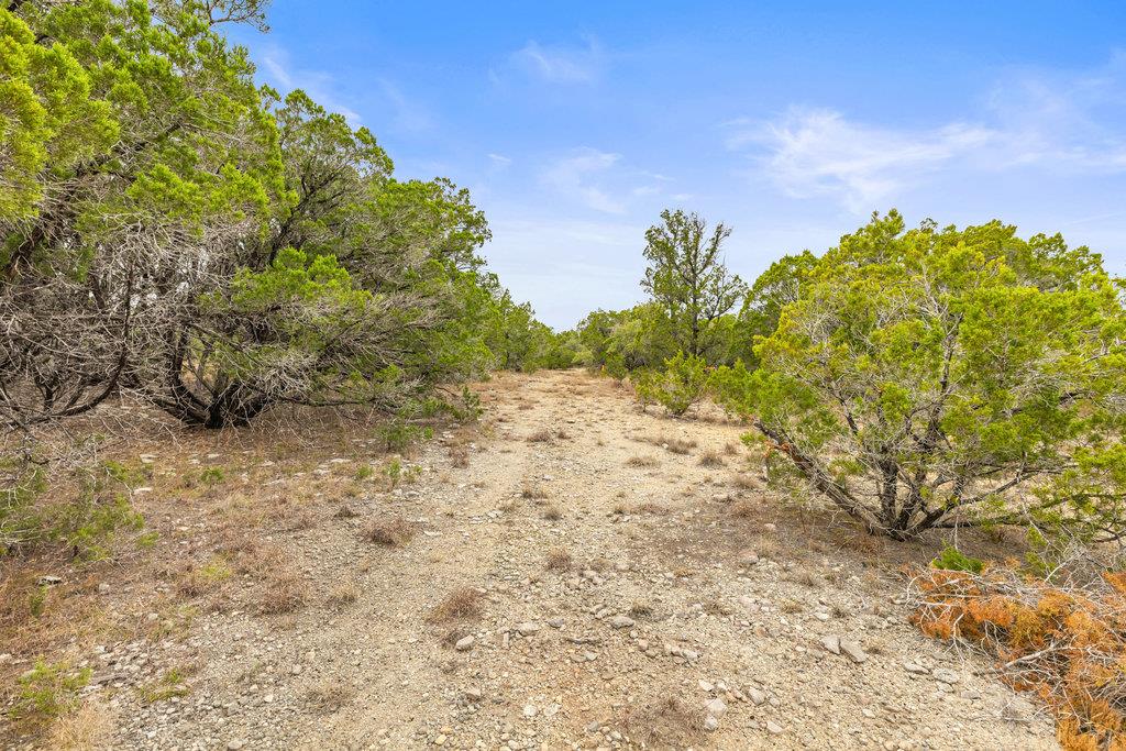 1216 Overland Stage Road Dripping Springs TX 78620