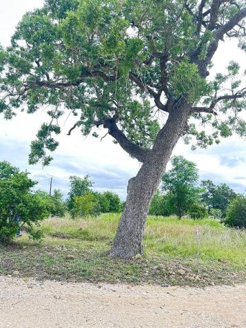 136 Wild Bird Loop Smithville TX 78957