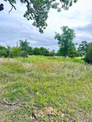 136 Wild Bird Loop Smithville TX 78957