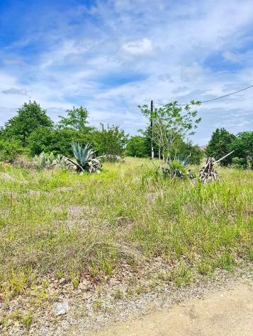 136 Wild Bird Loop Smithville TX 78957