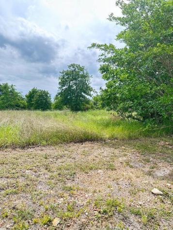 136 Wild Bird Loop Smithville TX 78957