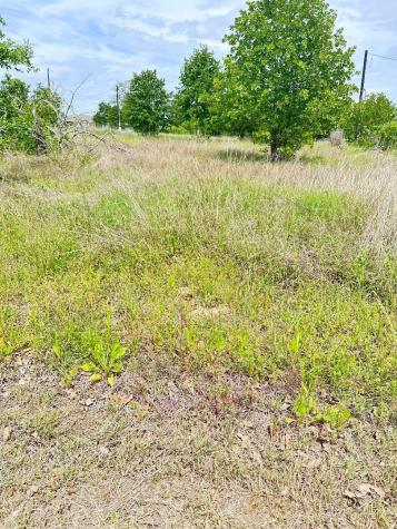 136 Wild Bird Loop Smithville TX 78957