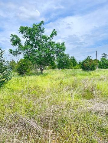 136 Wild Bird Loop Smithville TX 78957