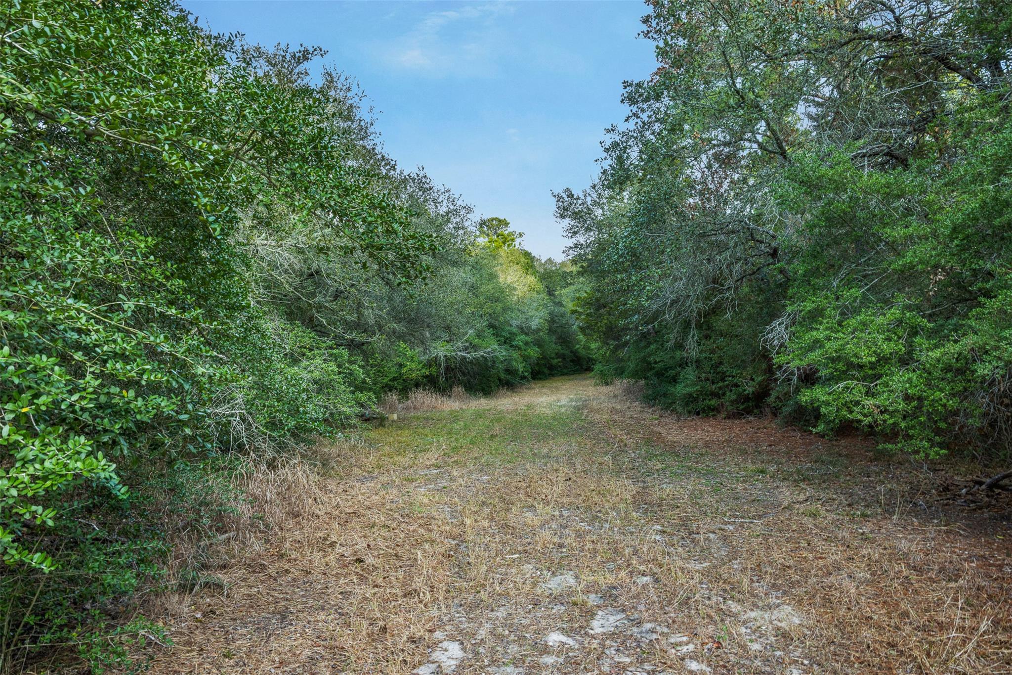 1200 Highway 71 Bypass La Grange TX 78945