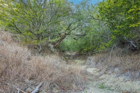 1200 Highway 71 Bypass La Grange TX 78945