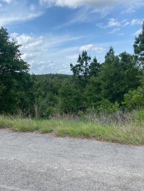 Lot 4 Kainalu Lane Bastrop TX 78602