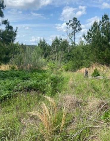 Lot 4 Kainalu Lane Bastrop TX 78602
