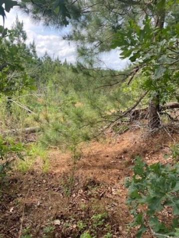 Lot 4 Kainalu Lane Bastrop TX 78602