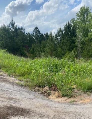 Lot 4 Kainalu Lane Bastrop TX 78602