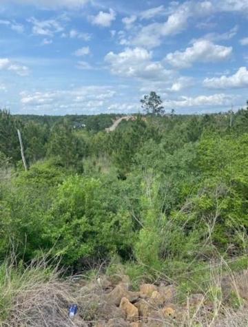 Lot 4 Kainalu Lane Bastrop TX 78602