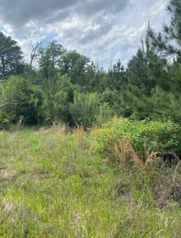 Lot 4 Kainalu Lane Bastrop TX 78602
