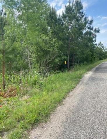 Lot 4 Kainalu Lane Bastrop TX 78602