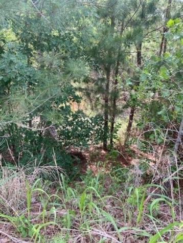 Lot 4 Kainalu Lane Bastrop TX 78602