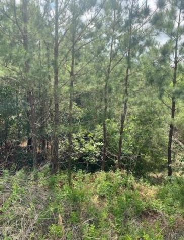 Lot 4 Kainalu Lane Bastrop TX 78602
