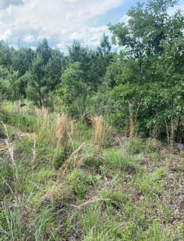 Lot 4 Kainalu Lane Bastrop TX 78602