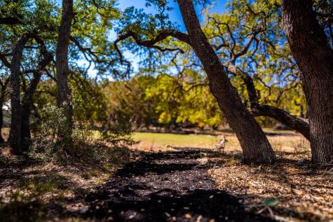 321 Lea Lane Wimberley TX 78676