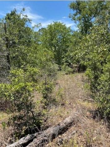 Lot 1123 Koali Drive Bastrop TX 78602