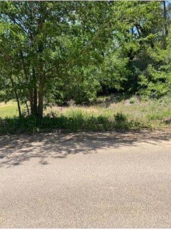 Lot 1123 Koali Drive Bastrop TX 78602