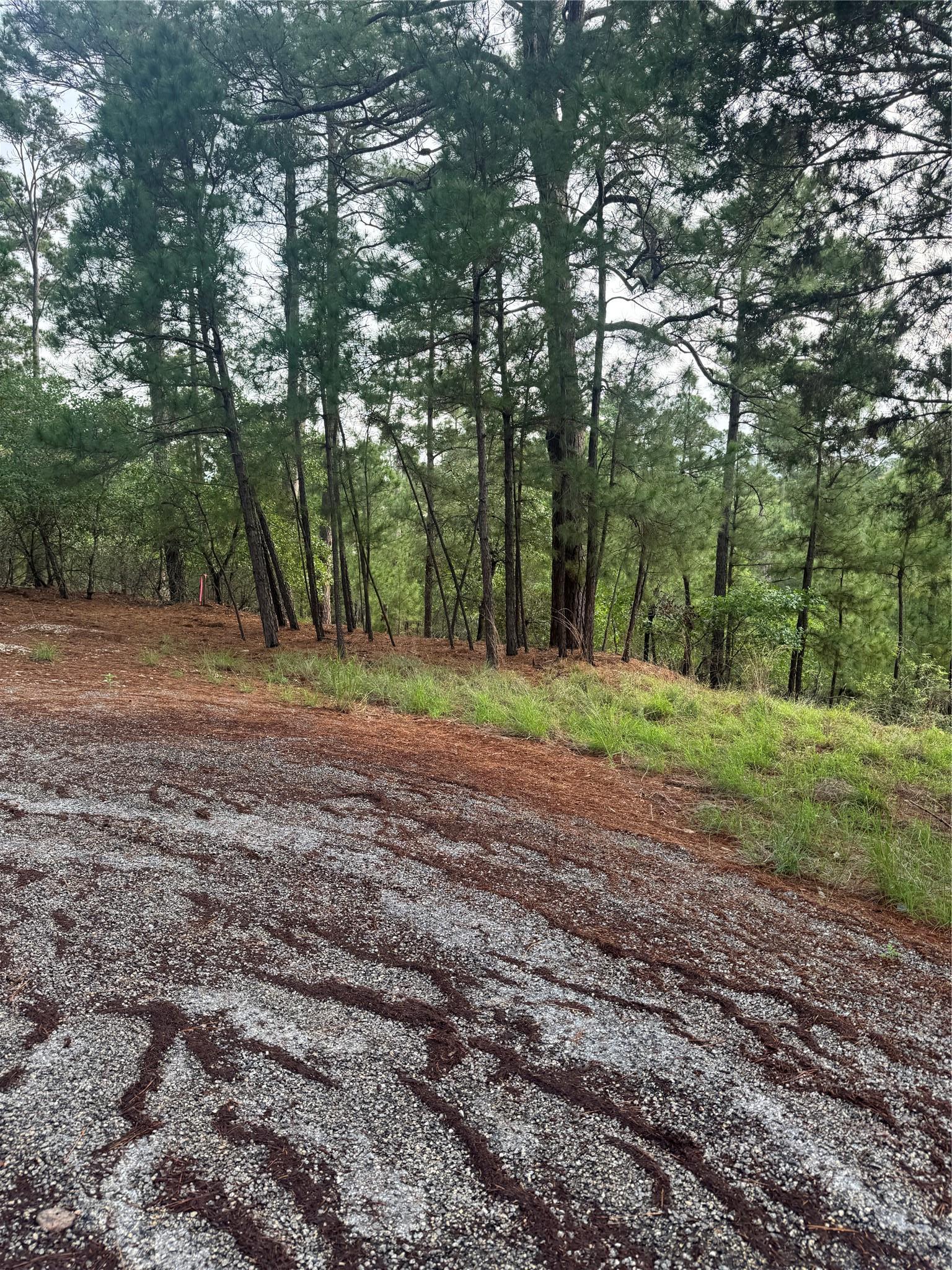 Lot 1492 Haleakala Bastrop TX 78602