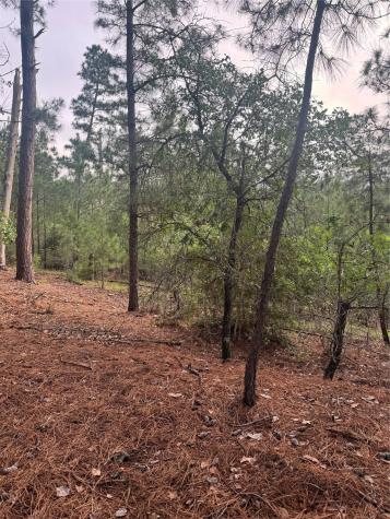 Lot 1492 Haleakala Bastrop TX 78602