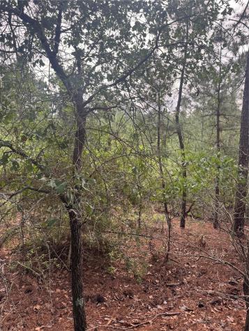 Lot 1492 Haleakala Bastrop TX 78602