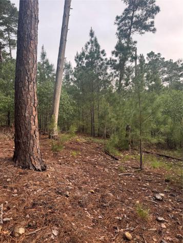 Lot 1492 Haleakala Bastrop TX 78602