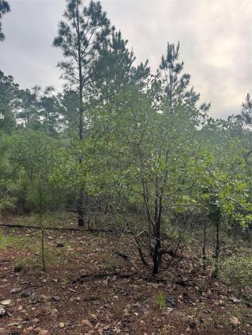 Lot 1492 Haleakala Bastrop TX 78602