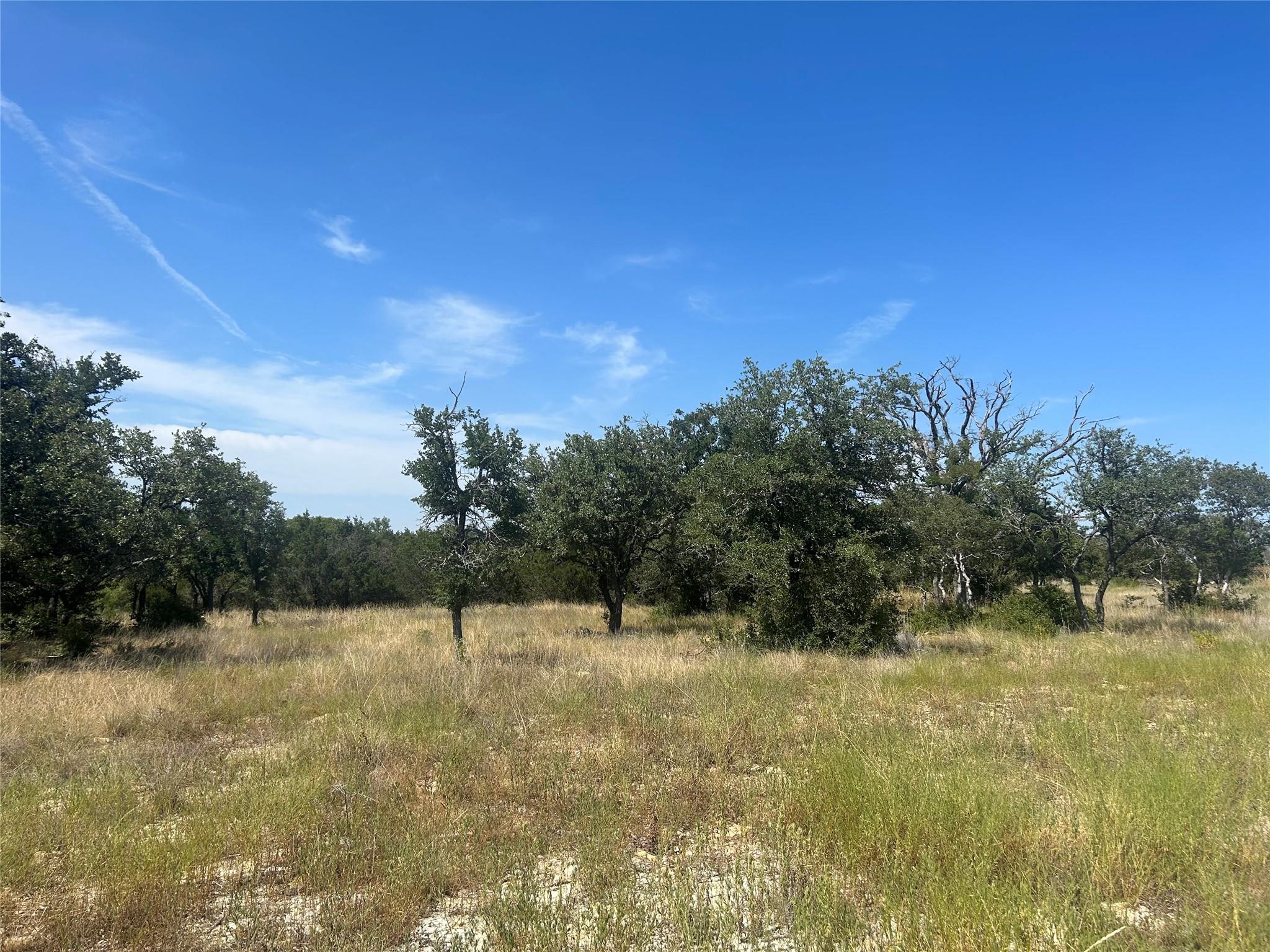 Tbd Pr 4219 Lot 94 Evant TX 76525