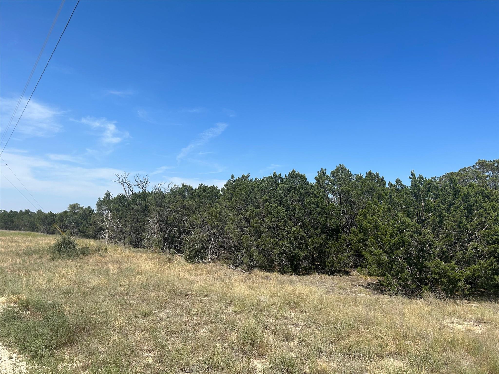Tbd Pr 4219 Lot 94 Evant TX 76525