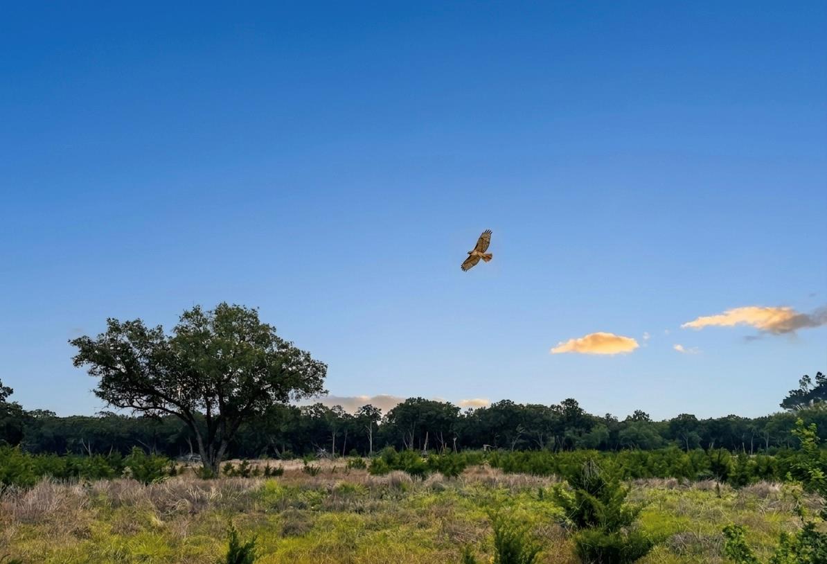 Lot 52 Clearwater Canyon Road Bandera TX 78003