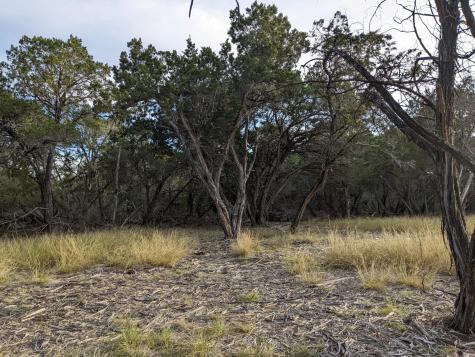 Lot 52 Clearwater Canyon Road Bandera TX 78003