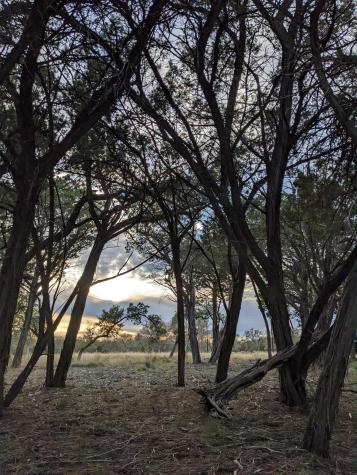 Lot 52 Clearwater Canyon Road Bandera TX 78003