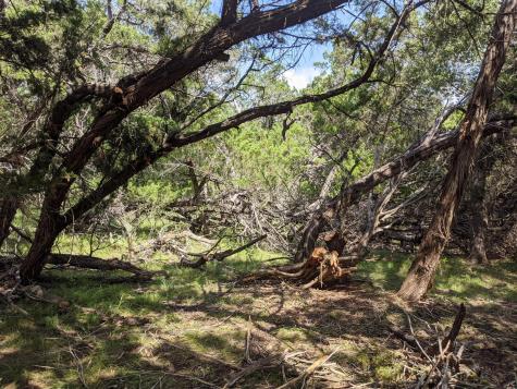Lot 52 Clearwater Canyon Road Bandera TX 78003