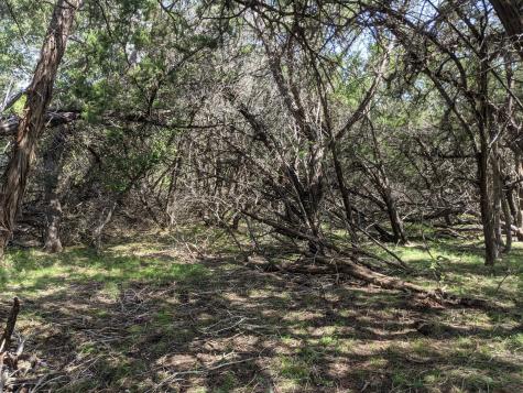 Lot 52 Clearwater Canyon Road Bandera TX 78003
