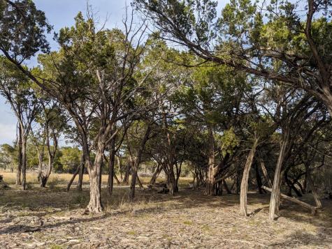 Lot 52 Clearwater Canyon Road Bandera TX 78003