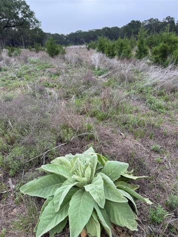 Lot 52 Clearwater Canyon Road Bandera TX 78003