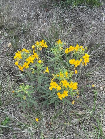 Lot 52 Clearwater Canyon Road Bandera TX 78003