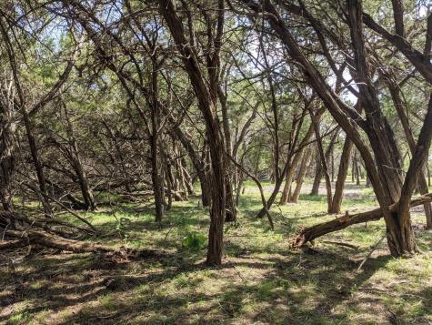 Lot 52 Clearwater Canyon Road Bandera TX 78003