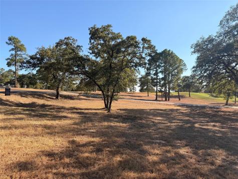 Tract 4 Riverwalk Lane Bastrop TX 78602