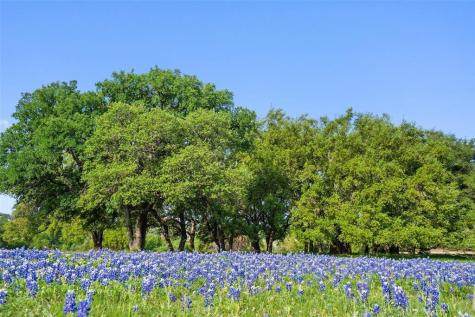 27132 Founders Place Spicewood TX 78669