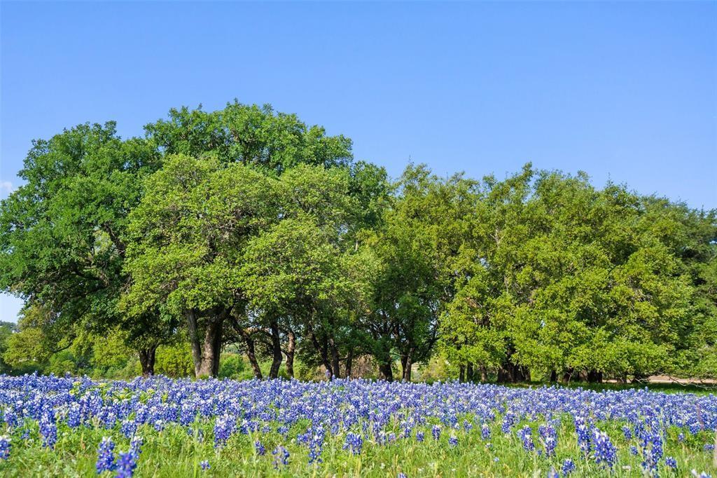 27132 Founders Place Spicewood TX 78669