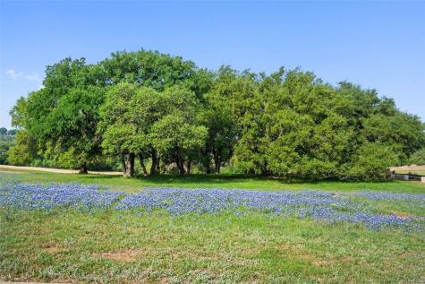 27132 Founders Place Spicewood TX 78669
