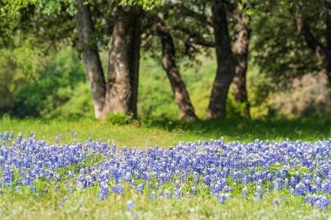 27132 Founders Place Spicewood TX 78669