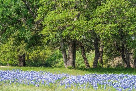 27132 Founders Place Spicewood TX 78669