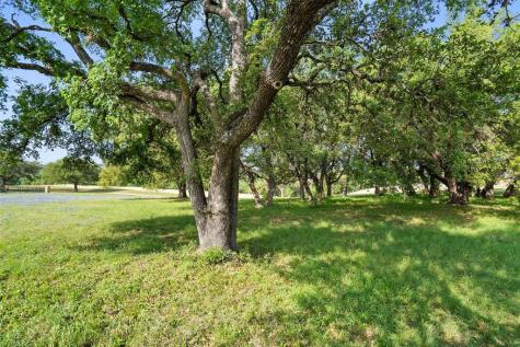 27132 Founders Place Spicewood TX 78669