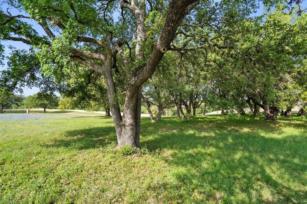 27132 Founders Place Spicewood TX 78669