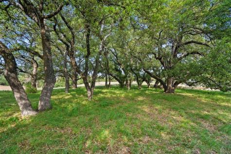27132 Founders Place Spicewood TX 78669